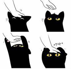 Pin On Everything