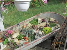 Steingarten In Der Zinkwanne Bilder Und Fotos Garten Steingarten Zinkwanne Bepflanzen
