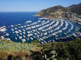 Lowest price guaranteed or we will refund the difference! Things To Do In Dana Point Ca Santa Catalina Island