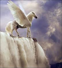 Pegasus The Winged White Horse Pegasus Art Pegasus Fantasy Horses