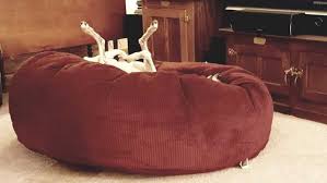 More than 170 slumber ball dog bed at pleasant prices up to 6 usd fast and free worldwide shipping! Dr Foster And Smith Slumber Ball Dog Bed
