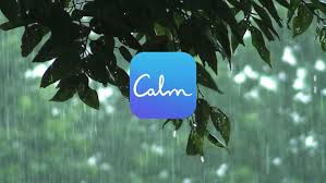 Was walking around salt lake city today and saw an ad at xpress spa for a discounted rate on an annual subscription for calm.have been in the market for it so i pulled the trigger. Calm S Hilarious Cnn Ad Campaign Sent The Meditation App Flying Up App Store Charts Techcrunch