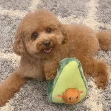 Life is a beautiful journey . My career love And support my fans all' world  ❤️🇧🇲🇧🇲