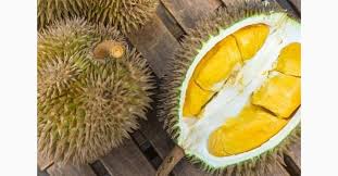 Meskipun chanterelle biasanya hadir dalam varietas putih. 5 Durian Paling Enak Di Asia Yang Harus Dicicipi Sudah Pernah Coba Bagian 2