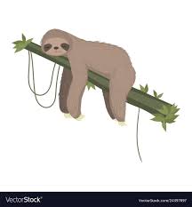 Cute gray sloth sleeping resting on ...