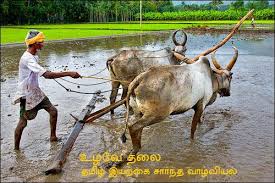 உழவே தலை – இயற்கை சார்ந்த வேளாண்மை... - தமிழ் இயற்கை சார்ந்த வாழ்வியல்  Tamil nature based living | Facebook