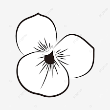 Black and white daisy clip art at clker, awesome resource for simple outline clipart, hawaiian flower clip art black and white. Flower Clipart Black And White Line Flat Png And Vector With Transparent Background For Free Download