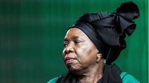Minister dlamini zuma mourns the passing of queen mantfombi dlamimi zulu the minister of. Nkosazana Dlamini Zuma Sabc Sorry For Using Zuma Ex Wife Title Bbc News