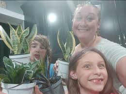 Where to put newly purchased plants from Aldi?