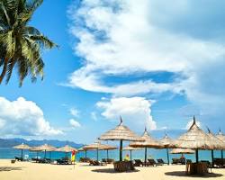 芽莊海灘的圖片