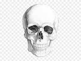 Maybe you would like to learn more about one of these? Skull02 Copy Realistic Skull Head Drawing Hd Png Download 600x600 3024098 Pngfind