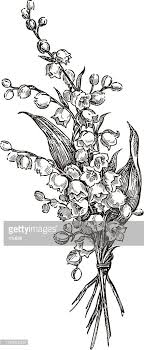 Vector Drawing Of A Bouquet Of Lilies Of The Valley Flower Drawing Bouquet Tattoo Black And White Drawing