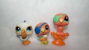 You will watch littlest pet shop season 4 episode 23 online for free episodes with hq / high quality. Parrot Bird 882 Authentic Littlest Pet Shop Hasbro Lps 2 50 Picclick