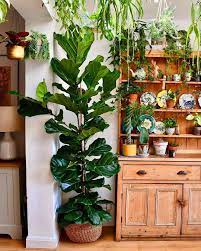 65 Indoor Garden Ideas You Will Fall For Plant Decor House Plants Indoor Houseplants Indoor