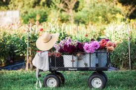 Owner and head floral designer, courtney bloomfield has over 15 years of experience in the floral design industry combined with years of education in horticulture and environmental science. Episode 416 North Carolina Grown With Bowerbird Flowers Apothecary Floral And Flourish Flower Farm Debra Prinzing