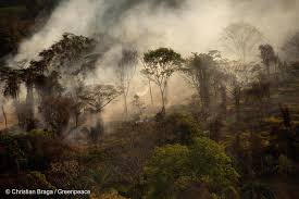 Check spelling or type a new query. Fires 2020 Experts Explain The Global Wildfire Crisis