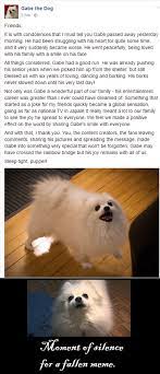 Sleep Tight Pupper 9gag
