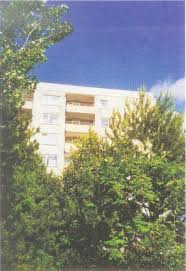 Der aktuelle durchschnittliche quadratmeterpreis für eine wohnung in reinbek liegt bei 10,52 €/m². 1 Zimmer Whg In Reinbek Mit Schwimmbad Und Sauna 1 Zimmer Wohnung In Hamburg Reinbek