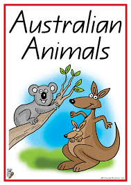 Australian Animals Words And Pictures Cards Great For Classroom Themes Vocabulary And Reading And Australian Animals Aboriginal Education Australia Animals