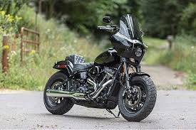 pin on fat bob custom