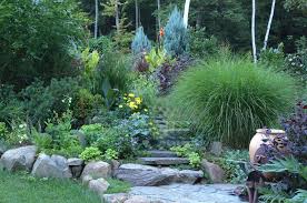 Creating A Low Maintenance Garden Finegardening Mulching is a time and money saver as it reduces the amount of water and weeding your garden needs, but pine needles: creating a low maintenance garden