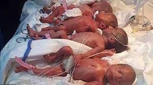 Here's the secret trick for little doll parents: Nominated For Guinness 10 Babies Born