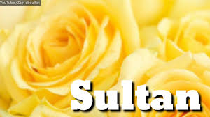 It has multiple islamic meaning. Sultan Name Whatsapp Status Youtube