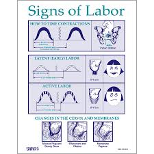 Signs Of Labor Educational Tear Pad Childbirth Graphics
