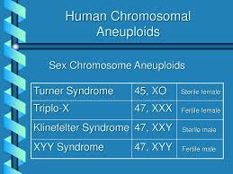 Chromosomal Mutations Ppt Download
