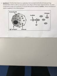 Take the quiz to see how much you know about tslp & its connection with severe asthma. Questions 3 Omalizumab Xolair Is A Medication Chegg Com