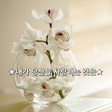 좋은글귀 좋은글 명언에 있는 핀