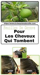 Pin On Faire Pousser Les Cheveux