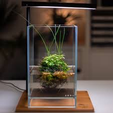 Floating Plants In Tiny Aquarium Floating Plants Nano Aquarium Aquascape
