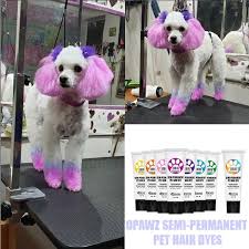 Sweet Work Done By Angelica Maria At Peluqueria Canina Los Angeles With Opawz Semi Permanent Dyes Very Gentle For Pets That Gradua Dog Dye Luxury Pet Pink Dog