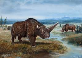 Elasmotherium sibiricum (ast) файлы в категории «elasmotherium sibiricum». Elasmotherium Sibiricum By Petr Modlitba Prehistoric Animals Extinct Animals Prehistoric World