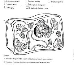 We did not find results for: Animal And Plant Cell Labeling Worksheet Promotiontablecovers