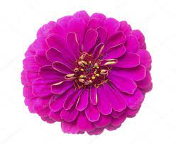 Pin On Stock Photos Free Images