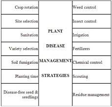 Organic growers will concentrate on cultural and. Pakissan Com Diseases Of Crops