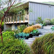 Lush Landscaping For A Mid Century Modern Home Modern Landscaping Landscape Design Modern Landscape Design