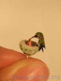 Wir freuen uns auf sie. 100 Kolibri Ideen Kolibri Schone Vogel Vogel