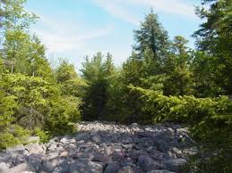 See 9 traveler reviews, 14 photos and blog posts. Trees Are Starting To Take Over Parts Of The Field Picture Of Hickory Run State Park White Haven Tripadvisor