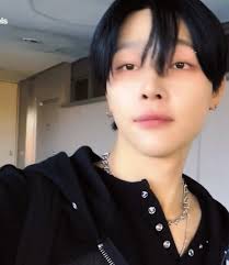 Nicholas Wang Short Sleeves