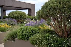 Emily Erlam Roof Terrace Contemporary Garden Design Landscape Projects Roof Garden