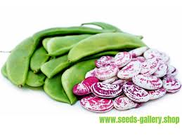Supermarconi, romano pole beans, italian heirloom quantity. Pin On Food Glorious Food