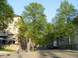Foto Galerie Gottingen Goethe Allee Street View Street Views