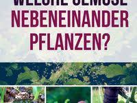 Gartenbewasserung Mit Ollas In 2020 Gartenbewasserung Bewasserung Garten Bewasserung
