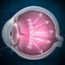 Pay your complete family eyecare bill online with doxo. Local Optometrists In Fruit Cove Florida