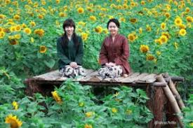 Sketsa bunga matahari tersebut terlihat sangat detail dan nyata menyerupai bentuk aslinya. 4 Wisata Taman Bunga Matahari Yang Lagi Hits Di Jogja Arena Wisata Tour And Travel Terpercaya