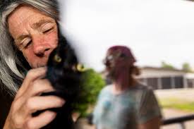 Homeless couple leaves Kalamazoo after chaotic two weeks