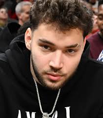 Adin Ross has vowed to help TikToker Heston James who's facing a 9-year  sentence over prank spree "These lawyer fees are gonna be 6 figures, but  he's a kid, I'll do it”